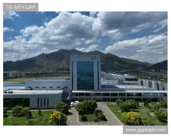 尊龙凯时集团：打造多元化娱乐生态系统的行业先锋