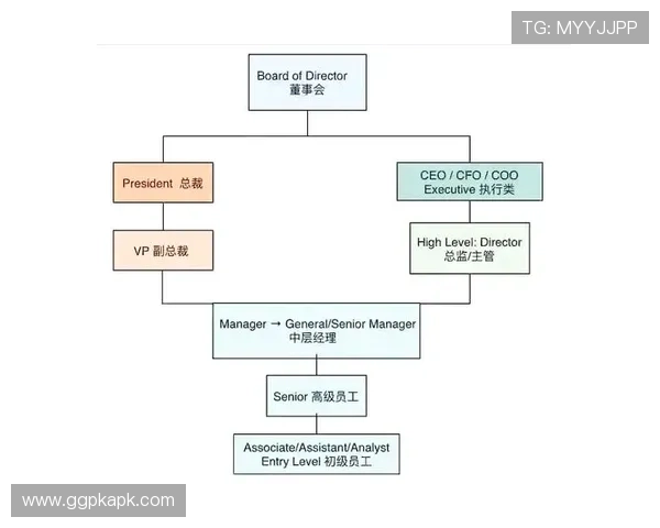 CEO娱乐：从CEO视角看娱乐产业的商业模式创新与市场潜力